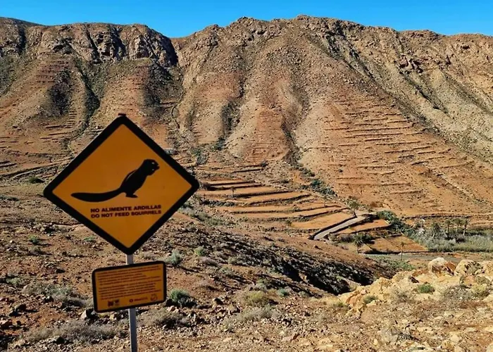 Nagallo Wohnsiedlung La Capellania By Interhome *